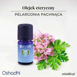 Pelargonia pachnąca – olejek, który przywraca równowagę