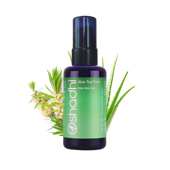 Aloes Drzewo herbaciane